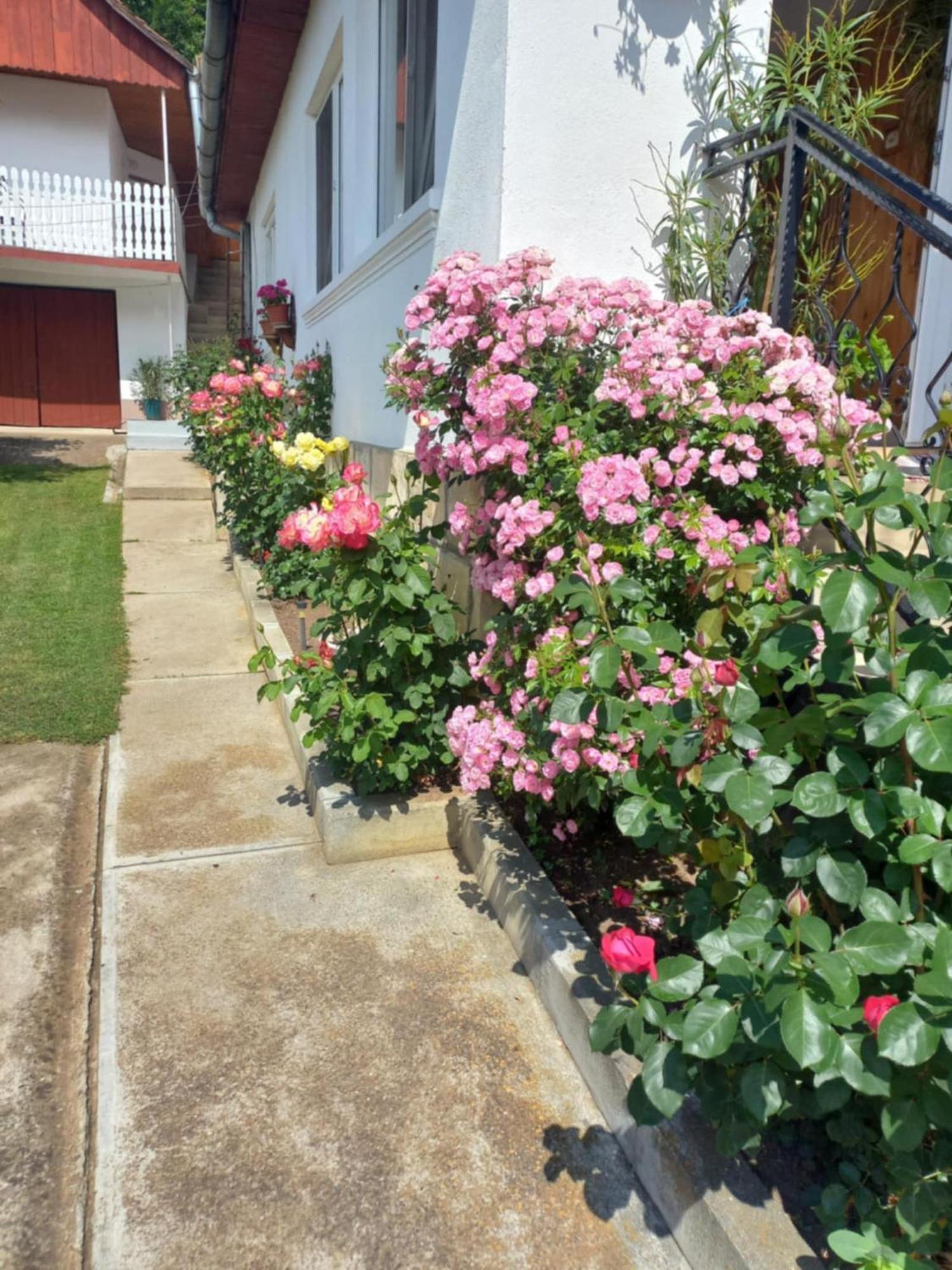 Rozsa Panzio Bed & Breakfast Rimetea Exterior photo